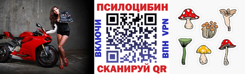 хочу наркоту  Качканар  Псилоцибиновые грибы Psilocybine cubensis 