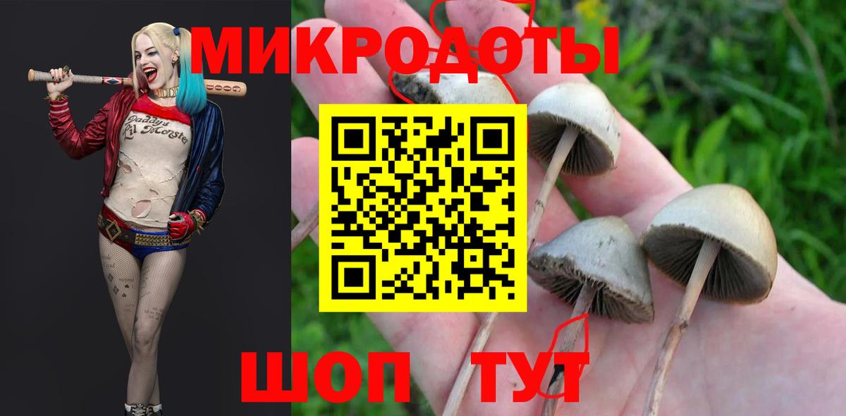 Качканар  Псилоцибиновые грибы MAGIC MUSHROOMS  Вход с VPN  дарнет шоп  Галлюциногенные грибы Psilocybe 